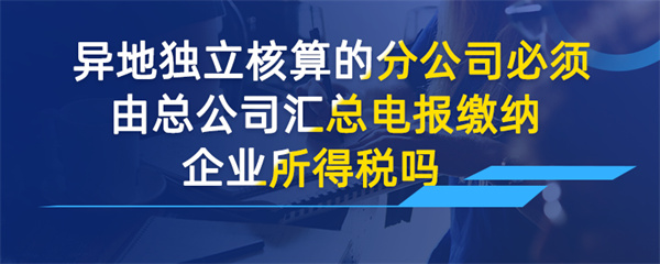 異地獨立核算的分公司必須由總公司匯總申報繳